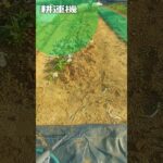 耕運機で耕します