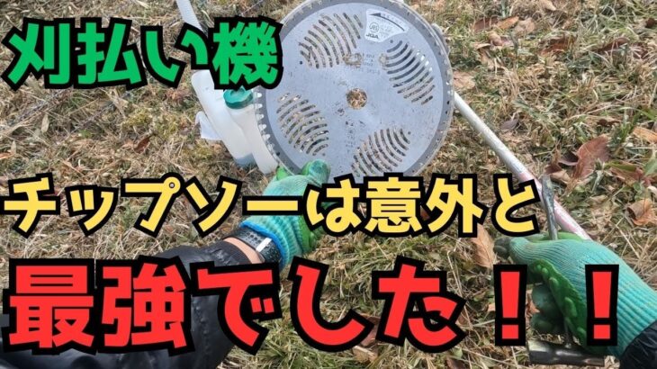 刈払い機を使えばチェーンソー要らずかもしれません！？