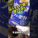 バラ作業の救世主wらせん穴掘り #とことんとこ伊藤