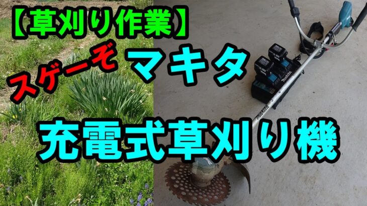 土地を買ったら草刈りが付いてきた！　マキタ充電式草刈り機MUR365D