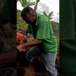 ¡Probamos la Ahoyadora Progemac! Eficiencia y Rendimiento  #herramientas #construção #tierra #hueco