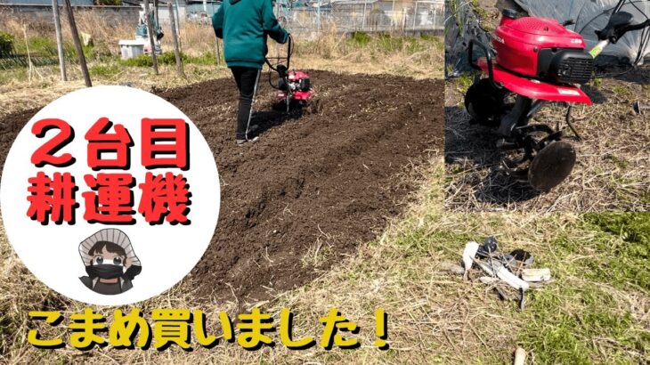 2台目耕運機買いました！【こまめ】【管理機】【ホンダ】【家庭菜園】