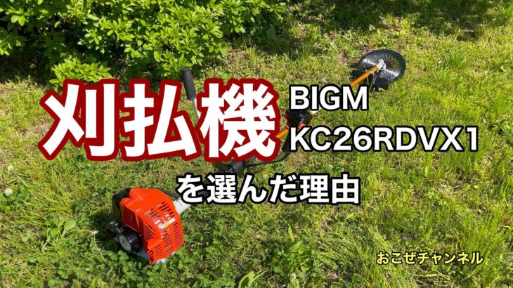 刈払機 BIGM KC26RDVX1 を選んだ理由