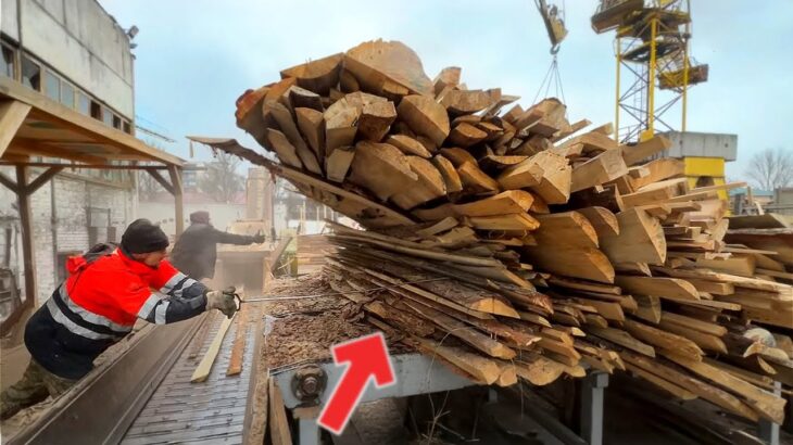 GIANT Log vs. Wood Chipper – What Will Happen? LIVE!