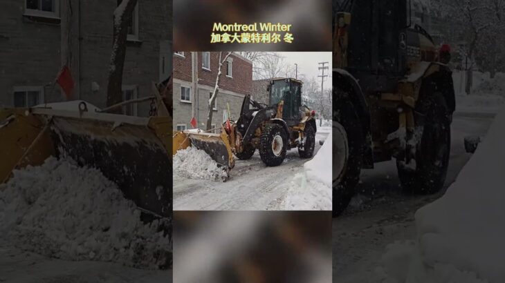 加拿大 蒙特利尔 冬 除雪 Montreal Snow Removal Winter