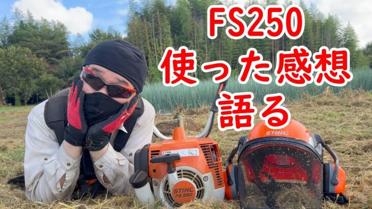 最高にイケイケな刈払機！ナイロンコードの草刈りに革命を起こしたSTIHL FS250を使った感想を語る