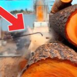 Unstoppable Force: Wood Chipper Live!