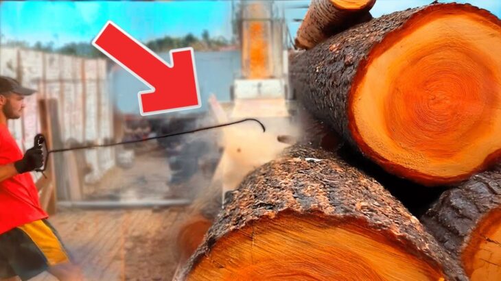 Unstoppable Force: Wood Chipper Live!