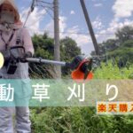 電動草刈り機(充電式)迷ったけど楽天市場でこれに決めました！#畑づくり #ほったらかし農 #無農薬栽培 #畑セラピスト #家庭菜園 #オーガニックライフ