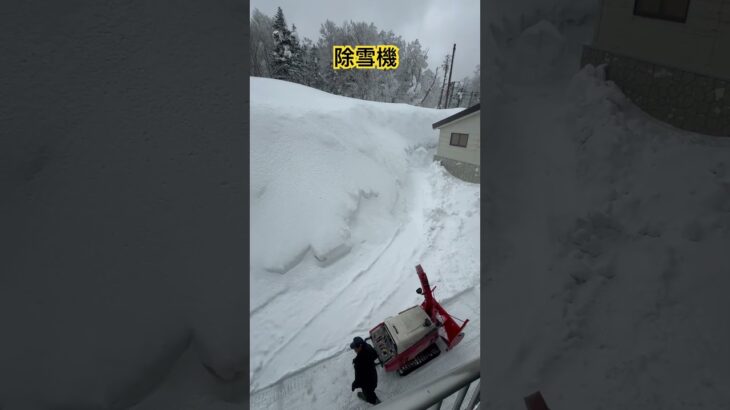 藏王樹冰的除雪機