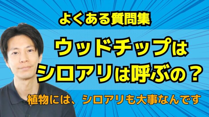 ウッドチップを庭に敷くと白蟻は来ますか？【白蟻駆除の疑問に答えるシロアリ対策委員会】