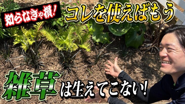 【究極の雑草対策】防草シートより優秀なコレを使えば雑草は生えてきません！