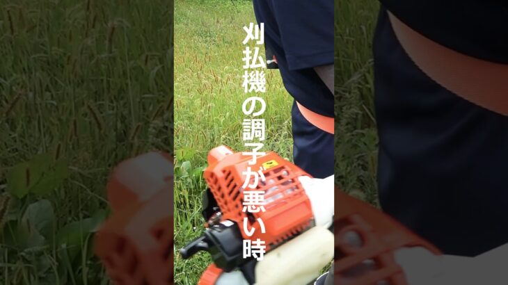 【草刈り】プレミアム100：1で3年使った結果…！FCR-062Ⅱで奇跡の復活！