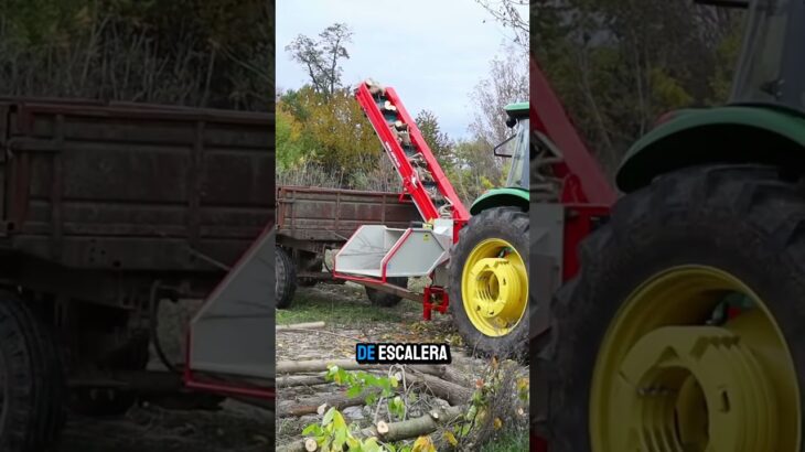 ¡150 toneladas de madera por hora! 🌲🪓