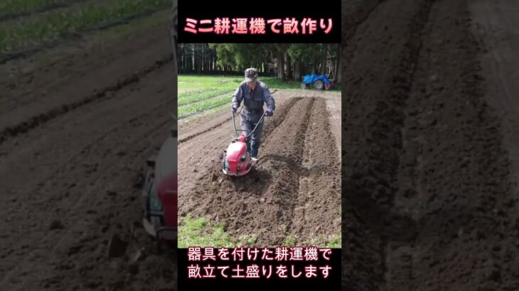 ミニ耕運機で畝作りショート動画：2025年配信
