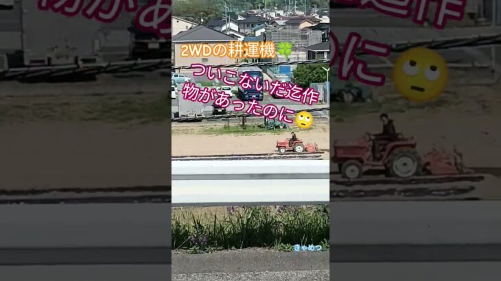 2WDの耕運機💥ハイスピードっぽく耕していく…👍あっという間に作付け刈取りと進んでいく😳プロの年配💯栄光あれ⭐　トラックちゃん