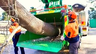 Amazing Powerful Wood Chipper Machines USA Working (original sound), Tree Shredders Real Operation