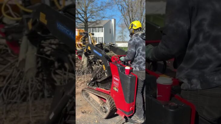 Can he really be the most skilled op ! ? #subscribe #treeremoval #teamtrees #veterantrees #shorts