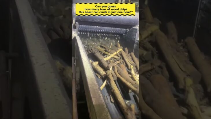 Can you guess how many tons of wood chips this beast can crush in just one hour?