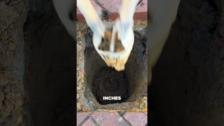 Check this oddly satisfying work (anchorsecuritybollards)