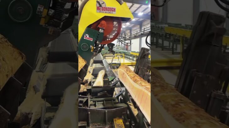 Double Blades Sawmill #loglumber