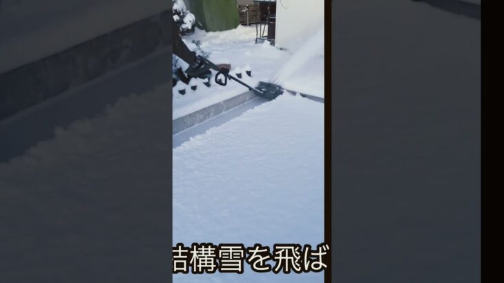 ハイガー　電動除雪機 コードレス 充電式 家庭用 スノーショベル 雪スコップ 小型 軽量 EP-SS-LD01