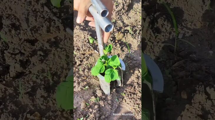 Game-Changing Auger for Planting & Digging | Ultimate Farming Tool 2025  #smartfarming #rurallife