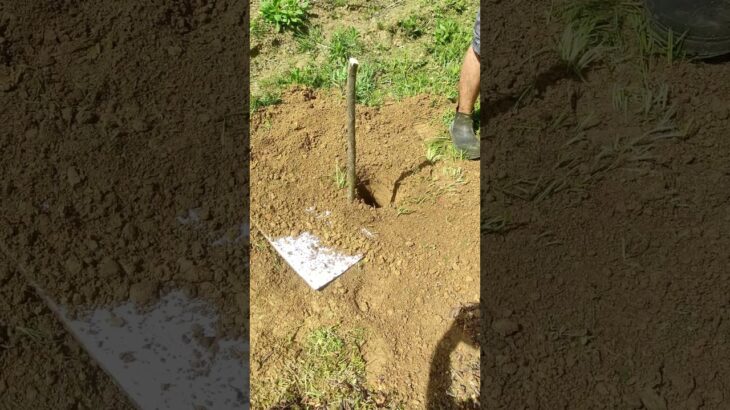 Level Up Your Hole Digging Game