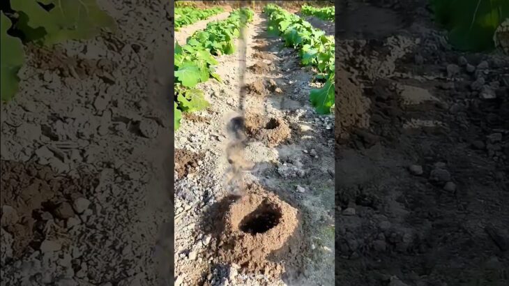 Modern Auger Machine for Fast Hole Digging & Planting | Smart Farming Tool 2025 #farming #viral