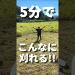 PLOW 新型 乗用草&芝刈機 RGC760/RGC660 この夏新登場！ #shorts  #草刈り #草刈り機  #芝刈り #芝刈り機