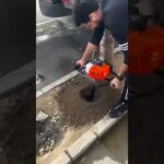 🕳️ Post Hole Digger in Action! | Ground Drilling Made Easy 🚜 #besteverproduct #garden #toolshorts