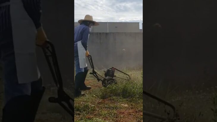 Roçadeira Zmax sobre Rodas #viraliza #sitios #roça