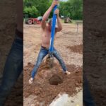 The whole digger ￼