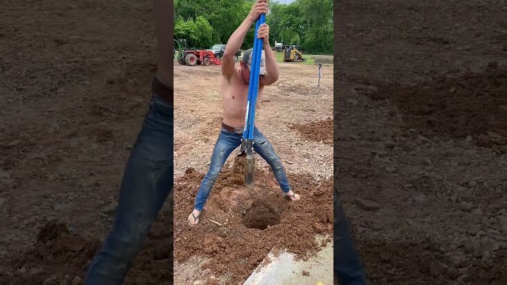 The whole digger ￼