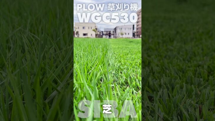 プラウの新商品『草刈り機：WGC530』テスト走行！ #shorts  #PLOW #雑草 #草刈り