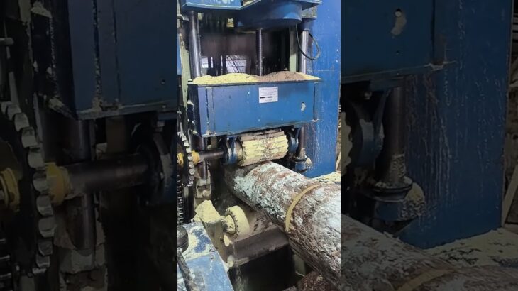 Wood chipper crushes wood
