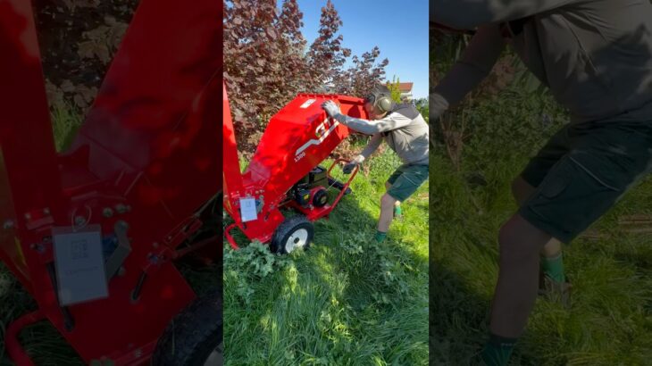 Woodchipper ⚔️ #garden #beautifultools #landscape #satisfyingvideo #shortvideo #short #woodchipper