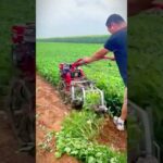 advanced mini machine for peanut harvesting #shorts