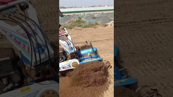 automatic small tractor agricultural engineering machinery #machinerychannel #agriculturalmachinery