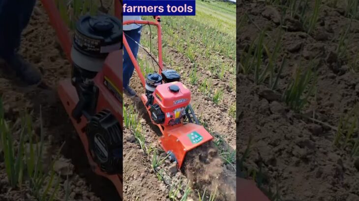 farming in ruler area #tools #farming #shortfeed #farmers #facts