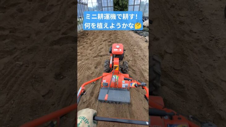 ヘタクソ過ぎるトラクターの運転後…結局耕運機で仕上げしてます（笑）#田舎暮らし #農業 #kubota #畑 #ビニールハウス