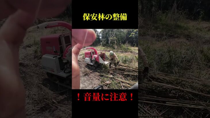 チッパーシュレッダー mp4 #事故 #チッパーシュレッダー #ウッドチッパー #粉砕機 #高橋商店