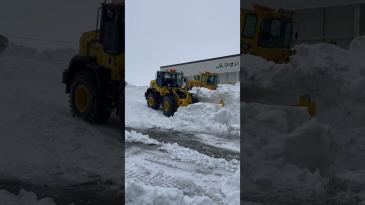 コマツ #music #automobile #除雪車 #snow #積込み #hirofuji #winter #除雪機 #youtube #事故