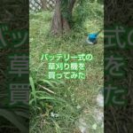 [庭いじり]バッテリー式の草刈り機を買ってみた #shorts #庭 #庭いじり #庭のある暮らし #草刈り機