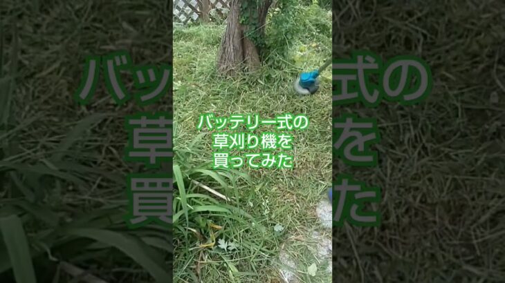 [庭いじり]バッテリー式の草刈り機を買ってみた #shorts #庭 #庭いじり #庭のある暮らし #草刈り機