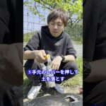 マルチ穴あけ器を使った万願寺とうがらし定植の仕方#shorts