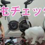 エアロバイク組み立ててみた♪