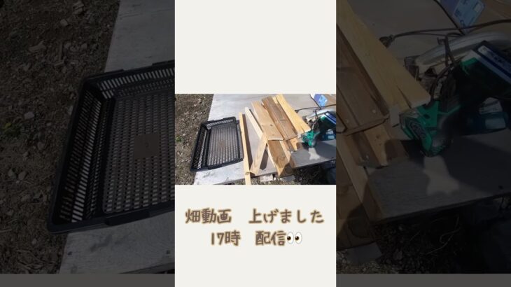 【北海道で田舎暮らし】#家庭菜園 #耕運機 #畑