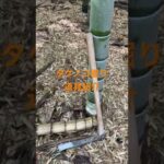 タケノコ掘り　道具紹介