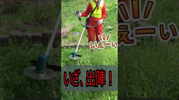 電動草刈り機を初めて使ってみた
